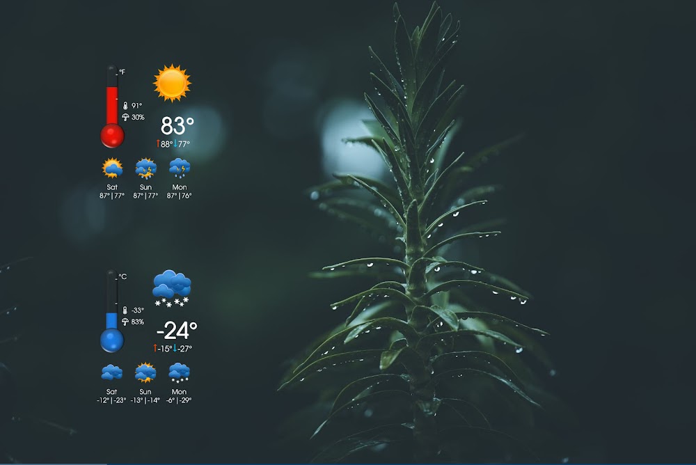 Royal Weather – Rainmeter Skin