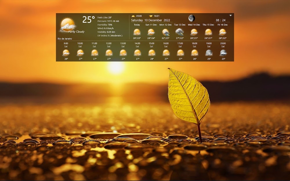 Weather Station HD – Rainmeter Skin